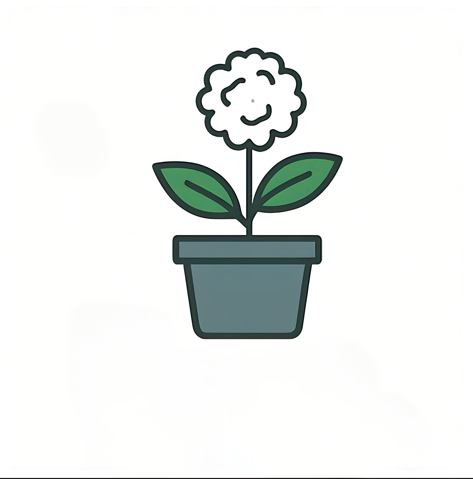 Ornamental plants