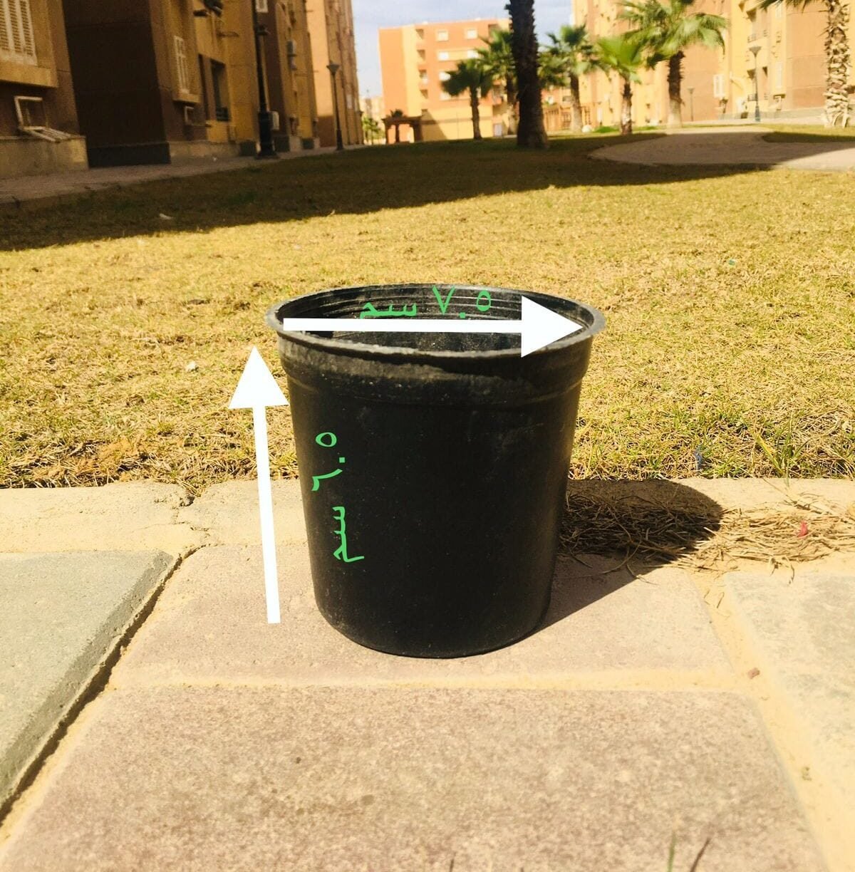 Black Pot – 8 cm Black Pot – 8 cm