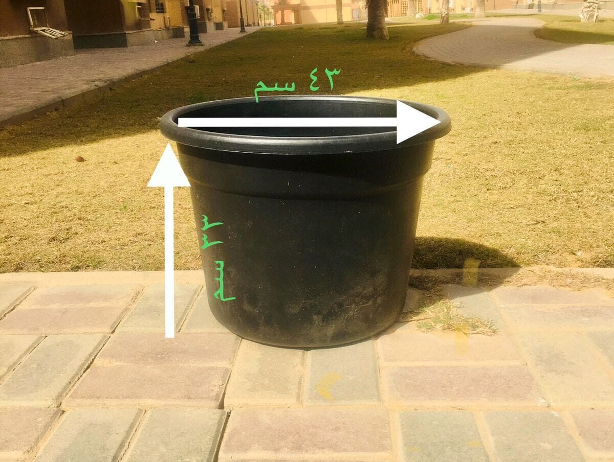 Black Pot – 50 cm Black Pot – 50 cm