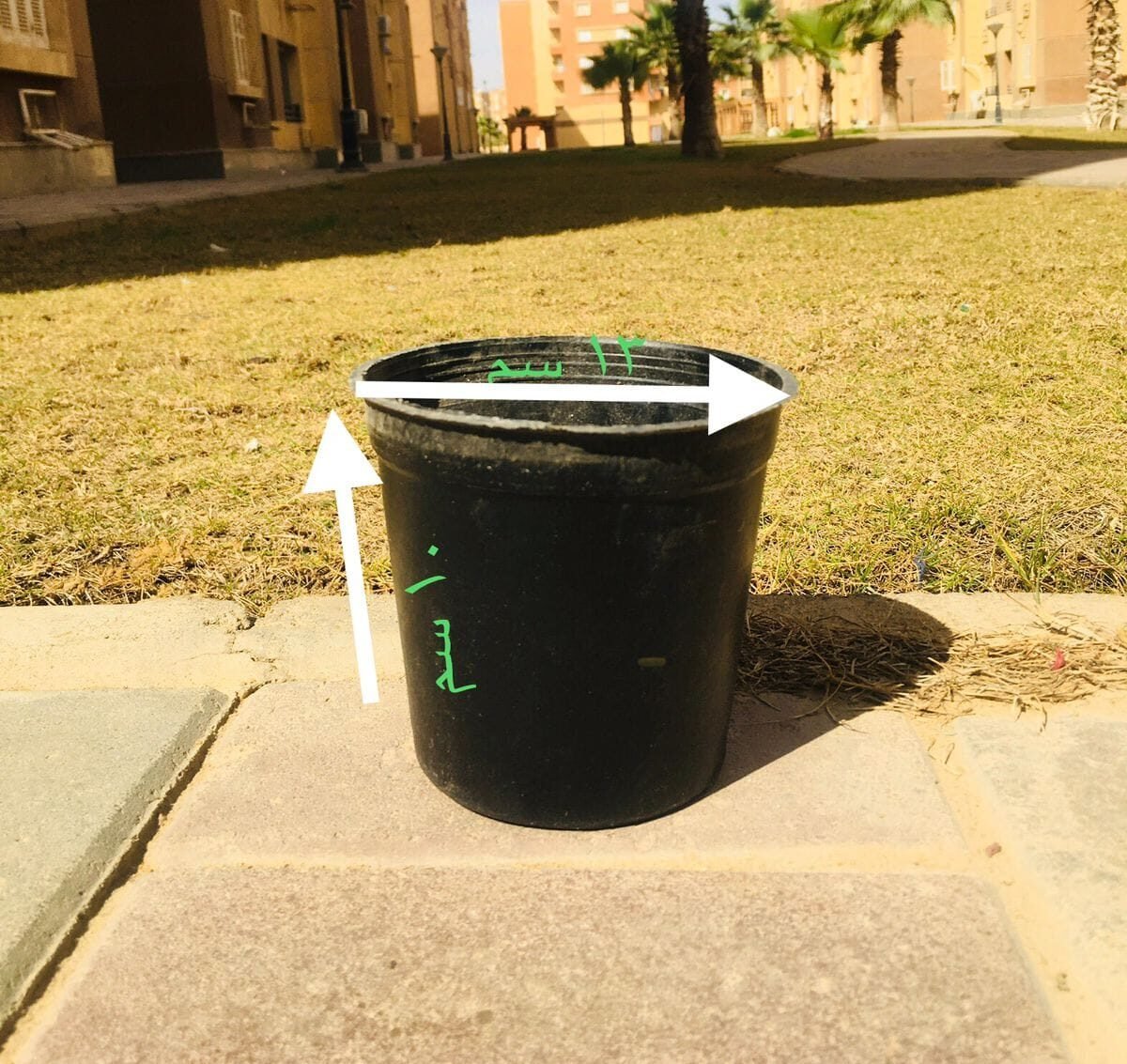 Black Pot – 15 cm Black Pot – 15 cm