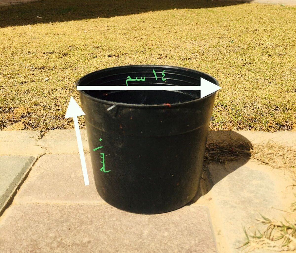 Black Pot – 16 cm Black Pot – 16 cm