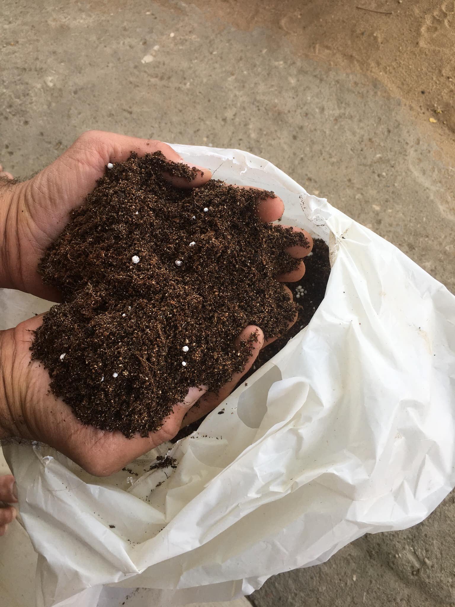 5 bags of peat moss + 1 free bag 5 bags of peat moss + 1 free bag - الصورة 2