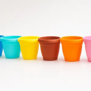 10cm Cactus Cup
