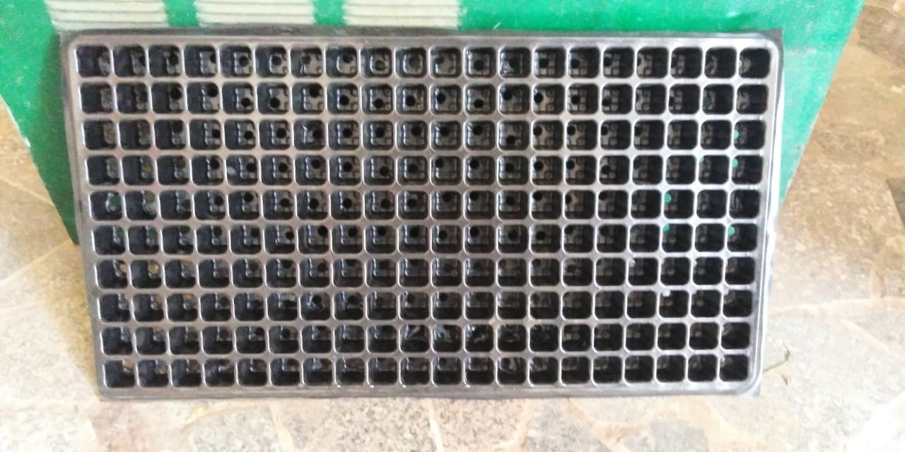 200-Cell Plastic Seedling Tray 200-Cell Plastic Seedling Tray - الصورة 3