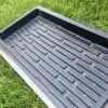 Barley Growing Tray