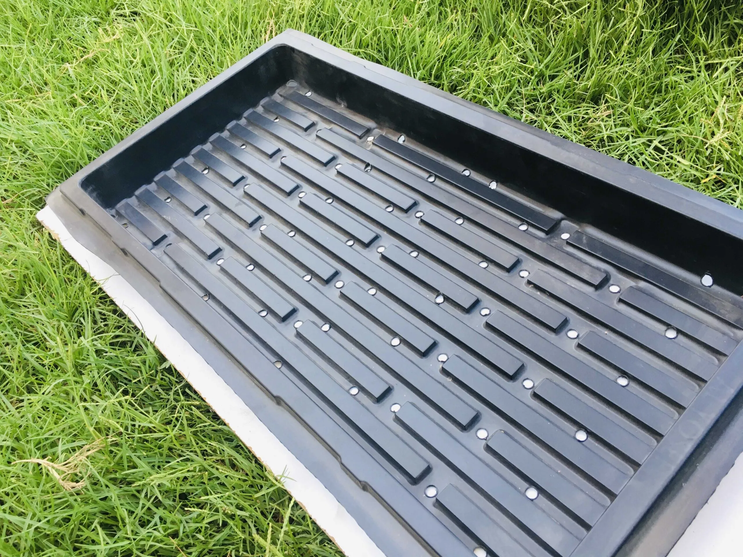 Barley Growing Tray