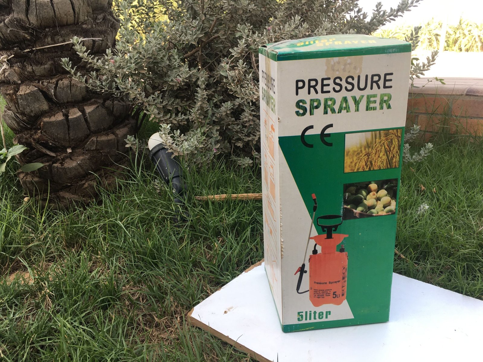 Pressure Sprayer 5litres Pressure sprayer on grass background