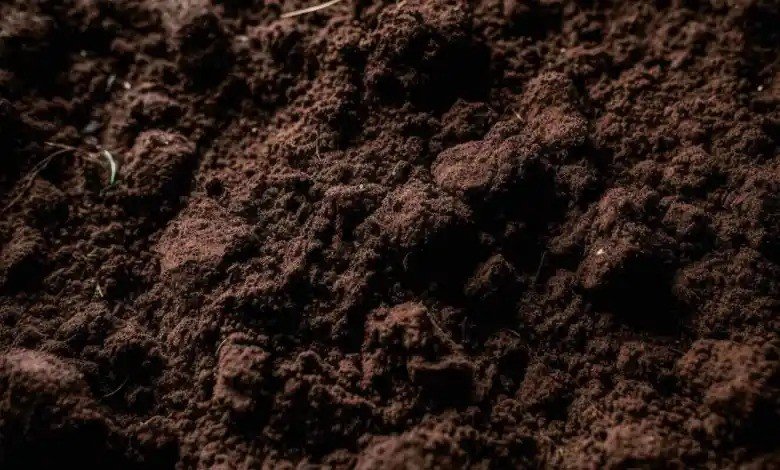 Nile Silt Soil Bag – 5kg Nile Silt Soil Bag – 5kg