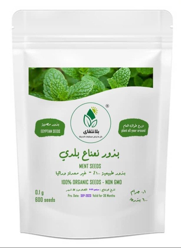 Baladi Mint Seeds Baladi Mint Seeds