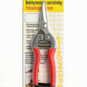 Stainless Steel Pruning Shears – For Grapes & Citrus (Chinese Make)