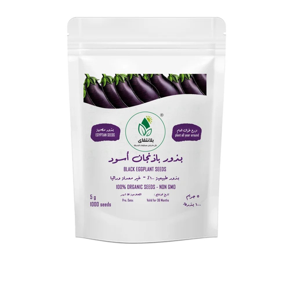 Black Eggplant Seeds – 5g Black Eggplant Seeds – 5g