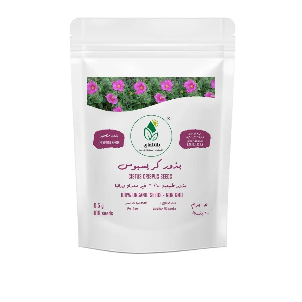 Crispus Flower Seeds – 100 Seeds Crispus Flower Seeds – 100 Seeds