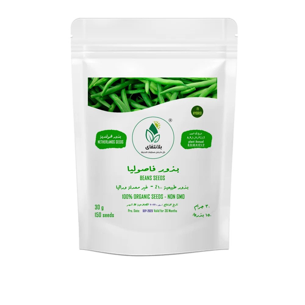 Green Bean Seeds – 30g Green Bean Seeds – 30g