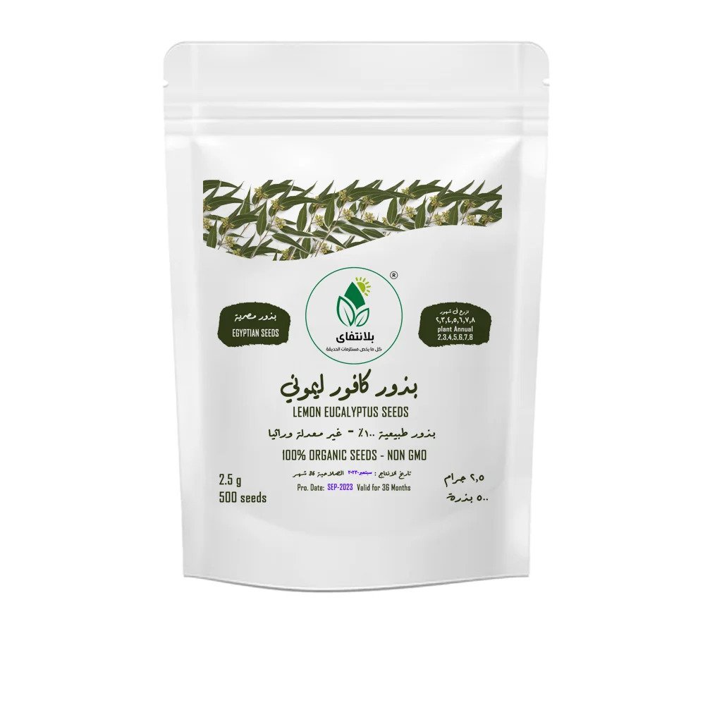 Lemon Eucalyptus (Corymbia citriodora) Seeds – 2.5g Lemon Eucalyptus (Corymbia citriodora) Seeds – 2.5g