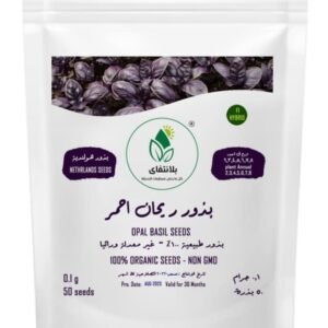 Red Basil Seeds – 50 Seeds