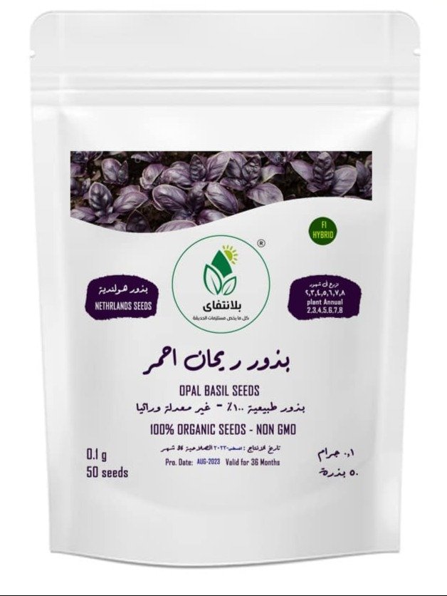 Red Basil Seeds – 50 Seeds Red Basil Seeds – 50 Seeds