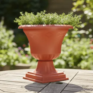 Plaza Cup - Image 4