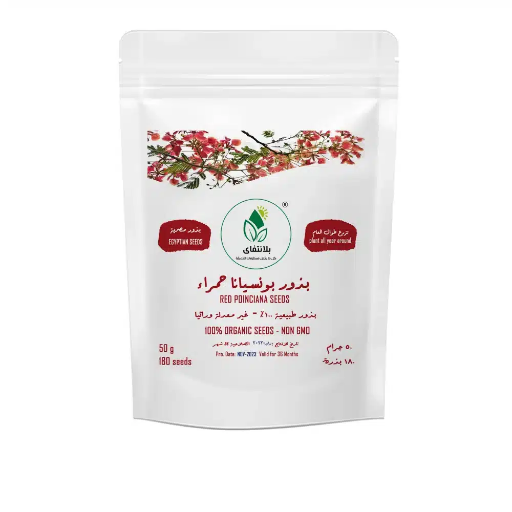 Red Poinciana Seeds – 50g Red Poinciana Seeds – 50g