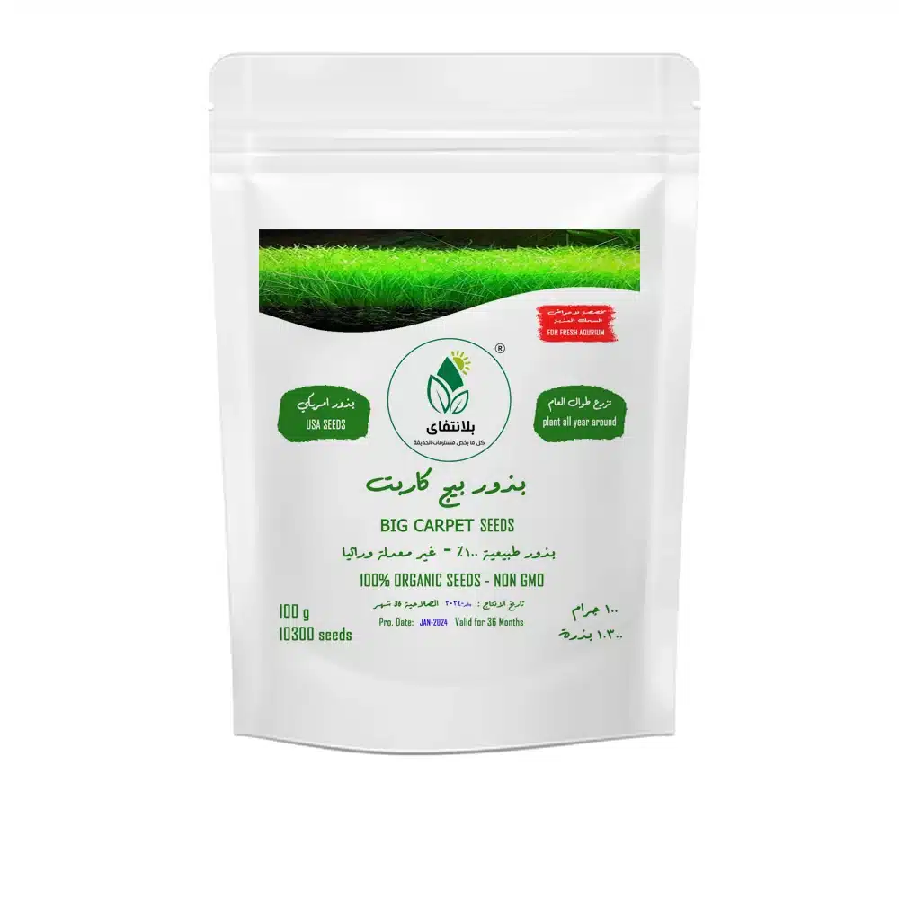 Big Leaf Carpet Seeds 100g – Fast Growing Aquarium Foreground Plant Big Leaf Carpet Seeds 100g