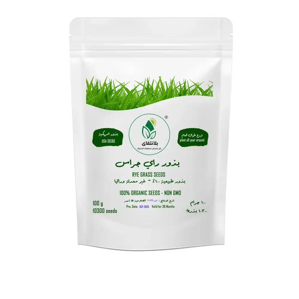 Ryegrass Seeds 100g – Fast Germinating for Lush Lawns & Repairs Ryegrass Seeds 100g
