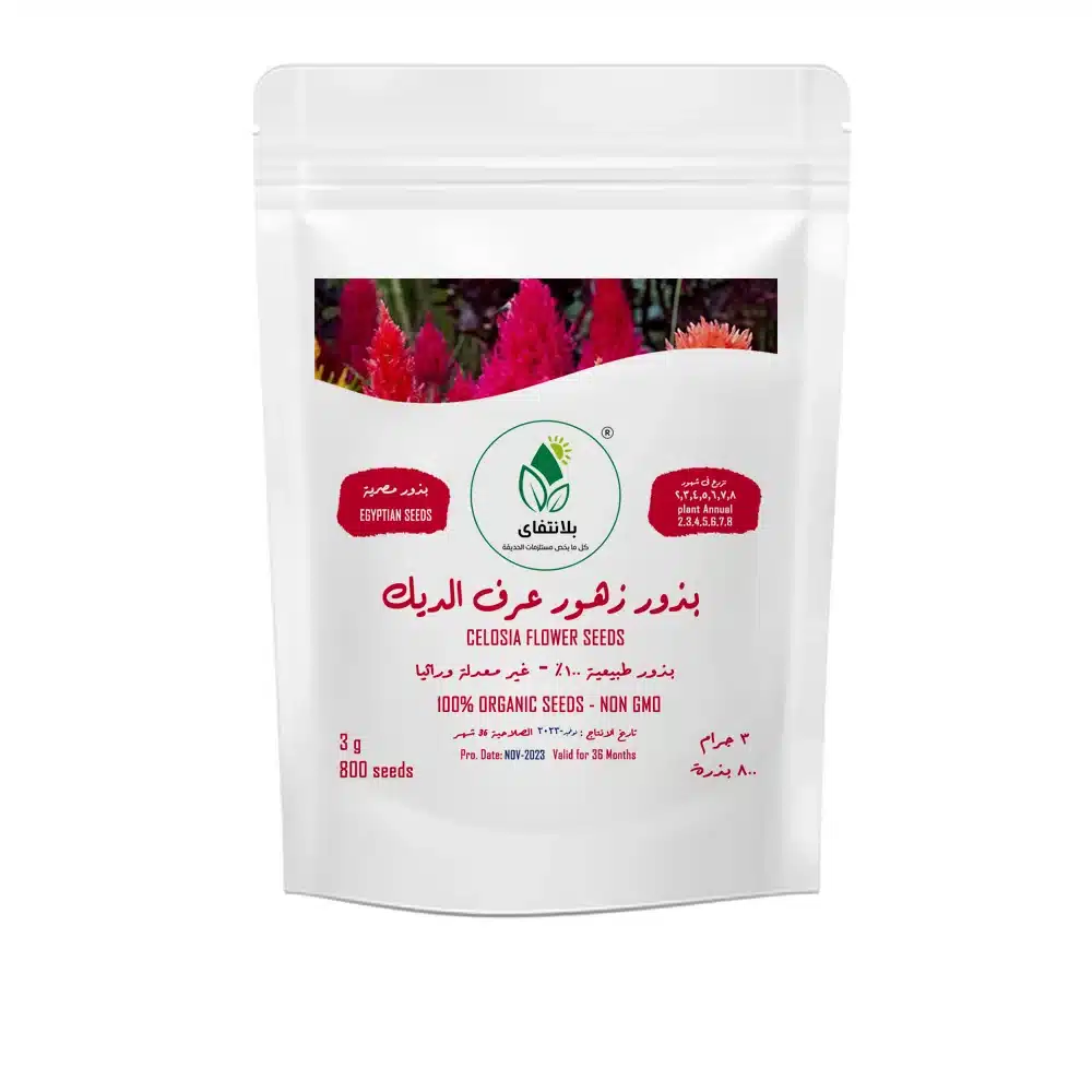 Cockscomb Seeds (Celosia) – 3g Cockscomb Seeds (Celosia) – 3g