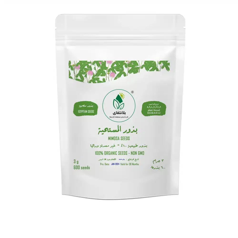 Sensitive Plant Seeds 3g – Mimosa Pudica That Moves When Touched Sensitive Plant Seeds 3g